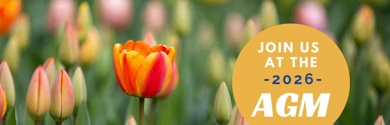 AGM (1500 × 480 px) (2)